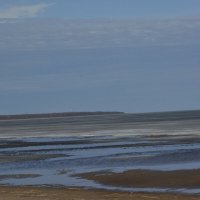 Побережье Ладожского озера :: Елена K