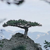 на вершине... :: Александр Герасенков