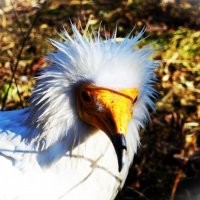 Как бы прическу не испортить.. :: Aida10 