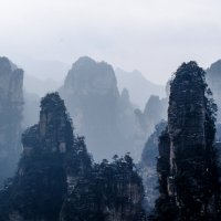 Столбы в парке "Аватар" :: Георгий А