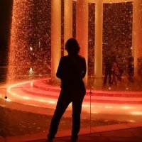 Силуэт :: Екатерина Леш