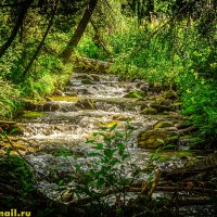 33 :: HART BAD 33 :: HART BAD