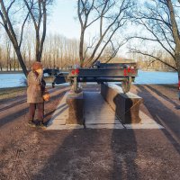 Парк Победы. :: Лилия *