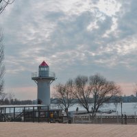 Весенний вечер (парк "Дельфин") :: Татьяна Машошина