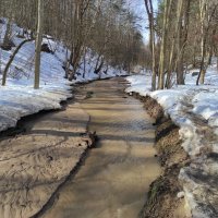 Битцевский лес, р. Городня :: Игорь Ч.