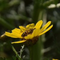 Погружение :: Олег 