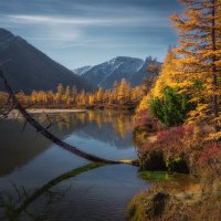 На берегу очень дикой реки :: Дмитрий Шишкин