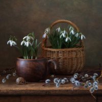 подснежники... :: Natali-C C