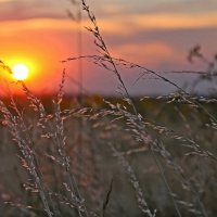закатное... :: Александр Герасенков
