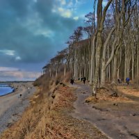 Для любителей созерцать :: Андрей K.