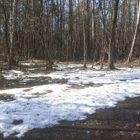 Таяние снегов :: Татьяна Тюменка Таяние снегов :: Татьяна Тюменка