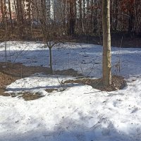 В парке у дома :: Татьяна Тюменка