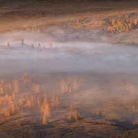 По холмам туман :: Анатолий Гордиенко