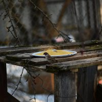 Ракэта :: Константин Сафронов Ракэта :: Константин Сафронов