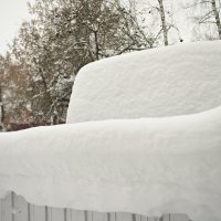 . :: Константин Сафронов