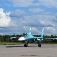 "Утенок" :: Олег Ховренков