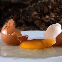 ... :: Елена Пономарева