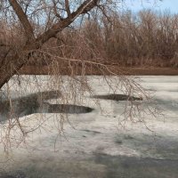 *** :: Елена Алексеева