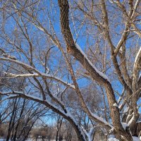 Зимний день :: Андрей Хлопонин