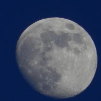 ... :: Tanya Nikorovskaya