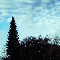 В конце марта :: Людмила Смородинская В конце марта :: Людмила Смородинская