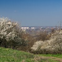 Весна набирает ход :: Игорь Сикорский