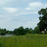 ПРИОРАТСКИЙ ДВОРЕЦ. окрестности. :: Виктор Осипчук