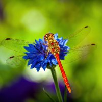 *   *   * :: Уже не важно ...