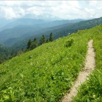 Адыгея! :: Надежда 