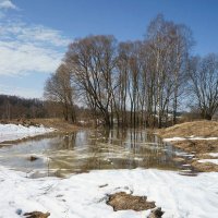 Последний снег в долине Протвы :: Сергей Курников