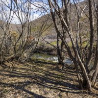 Пока нет листвы,тени в обе стороны ))) :: LudMila 