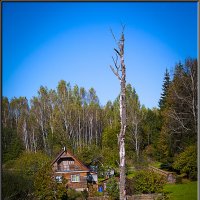 "НА ТОЙ, НА ДАЛЬНЕЙ СТОРОНЕ." :: Александр Дмитриев