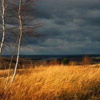 Перед  грозой :: Владимир Гришин