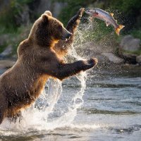 Рыбак :: СЕРГЕЙ ФИЛОЧКИН