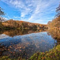 ---------------- :: igor G.