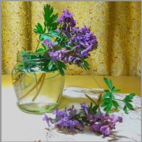 "ПОДСНЕЖНИКИ"    ИЗ   ДЕТСТВА... :: Галина Кузьмина