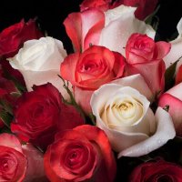 ЦВЕТЫ :: МАРИЯ ПОПОВА