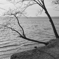 Фото осень :: Genych Bartkus