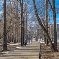 Прогулки в Весеннем Парке :: юрий поляков