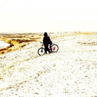 ЩА СКАТЯТСЯ :: HART BAD