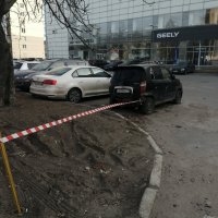 А что, так можно было? :: Not Lion