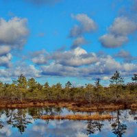 Облака над лесом .. :: Татьян@ Ивановна