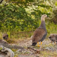 На страже... :: Владимир Жданов