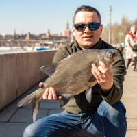 А в Москва-реке водятся лещи! :: Александр 