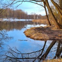 Яуза :: Наталья 