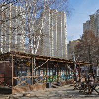 Парк, кафе, столики на воздухе и берёза вписалась :: Татьяна Машошина