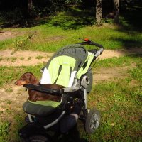 Улыбайтесь, друзья! С 1-м апреля! :: Андрей Лукьянов Улыбайтесь, друзья! С 1-м апреля! :: Андрей Лукьянов