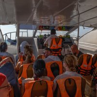 ... :: Жора Житников