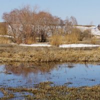 Весна. :: сергей ермошкин