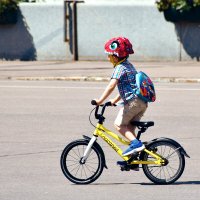 Лайба :: Валерий Пославский Лайба :: Валерий Пославский